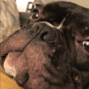 Meet your Posher, Mahan